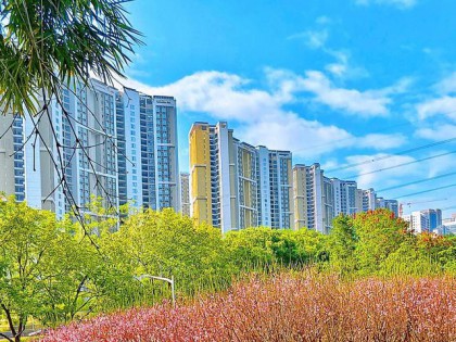 立春访梅，邂逅鹏城第一缕春光——深圳梅园游记