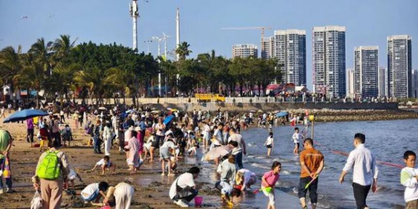 热度飙升！这个春节，湛江很热门！