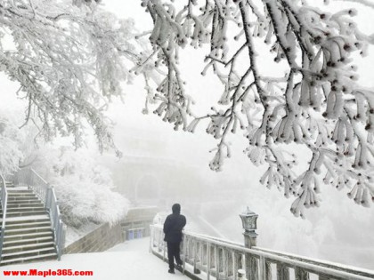 冰雕玉琢 云上仙宫