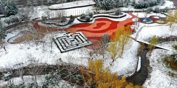 组图｜安徽涡阳雪后美景