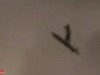 北京夜空惊现黑影，南宁街头窜出怪鱼，背后真相到底咋回事。