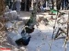 俄乌战争一旦结束，最有可能灭亡的是这五个国家，值得大家关注