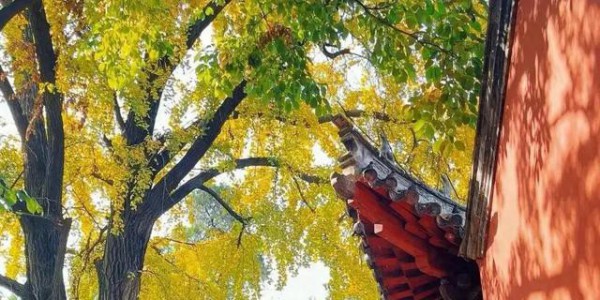 高铁直达！适合一个人去小住三五天的6个安逸小城，挑一个去走走