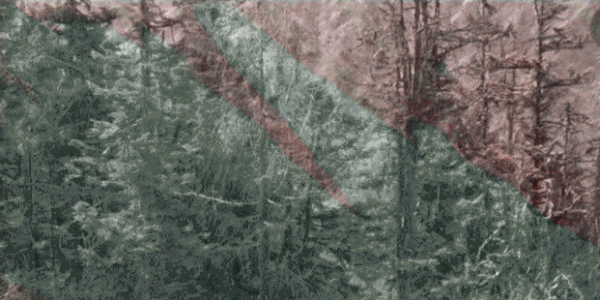 一泡尿“毁”了全家！男童尿进黄龙彩池，景区硬气通报：永久禁入