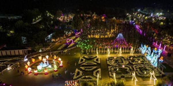 来李沧 啤一夏！2025青岛世博园光影奇幻夜啤酒嘉年华开幕
