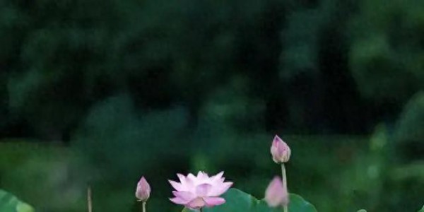 如果你已经六十岁，请你看完此文，一定会对你有所帮助