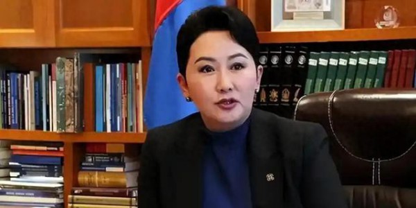 日本刚砸380亿拿下蒙古稀土，转头中国直接画红线，日本白忙活了