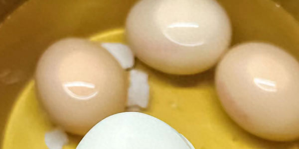 女性个子越小越难顺产？错！育婴师分享三个怀孕误区