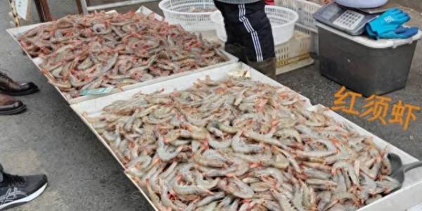 这5种海鲜全是“科技与狠活”，老板自己都不吃，看完告诉家人！