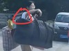 扁担女孩火到央视！正脸照流出，班主任曝真实成绩，家族成员发声