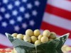 特朗普担心的事情发生了，美国大豆彻底失势，中国已有最佳方案