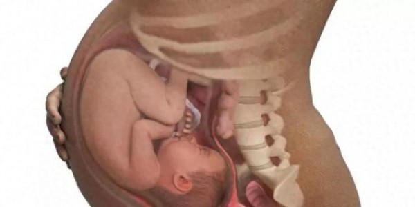 胎儿何时入盆？入盆后会有哪些征兆？