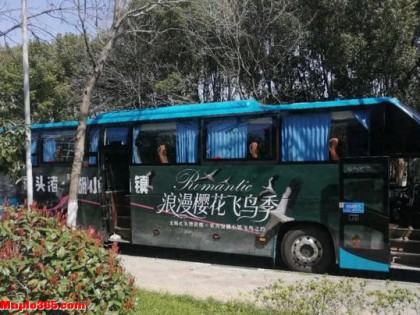 免费！锡宜直通车来了