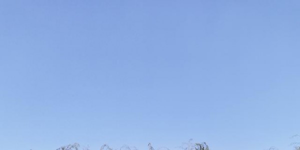 为在天堂的亲人送去祝福寄托哀思