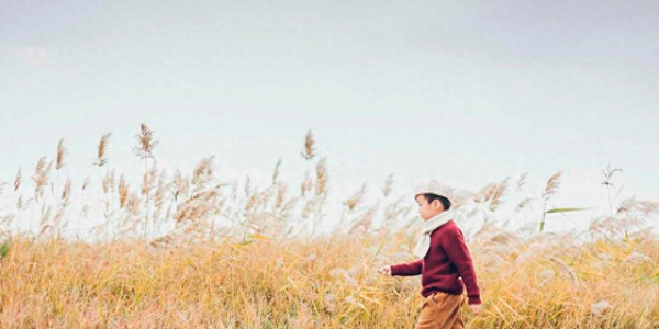 没矿的家庭，请“往死里”培养孩子这项能力，未来有大用处‼️