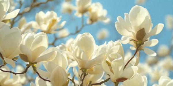 六十岁后，想多活30年，不是吃好喝好，不是天天运动。做好几件事