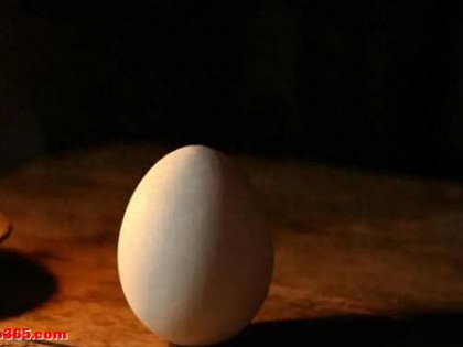 揭秘鹅蛋的四个“不解之谜”！为什么说它是高级补药？带您看看