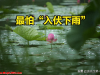 老人说最怕“入伏下雨”，今日入伏，入伏天下雨有啥预兆？早了解