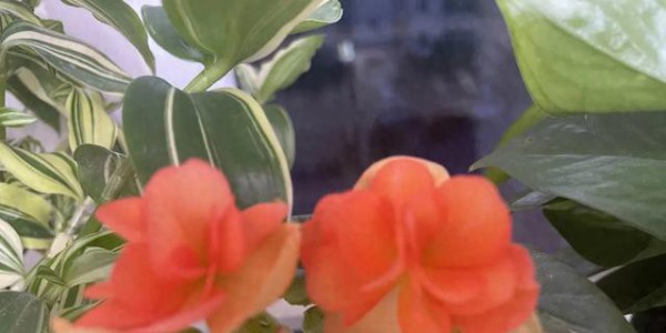 尽量不要和孩子分享这些！