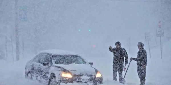 比芯片抢手！欧美加价20%排队求中国发货，20万一个恐怕排到5年后