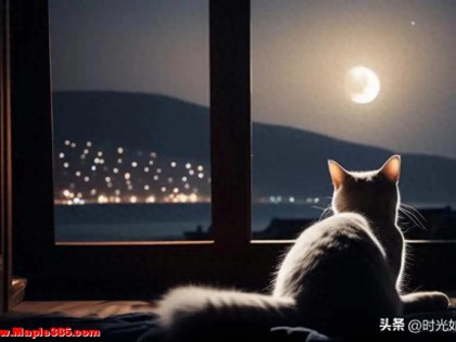 标题：心里有事就睡不着？教你一个“不想”的秘诀，一觉到天亮！