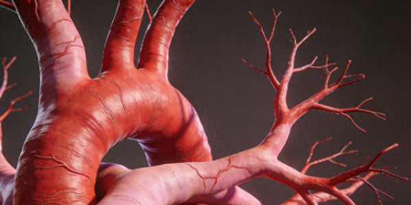 冠心病、心跳乱、胸口堵？一个个经典中成药，温补心阳、通脉止痛