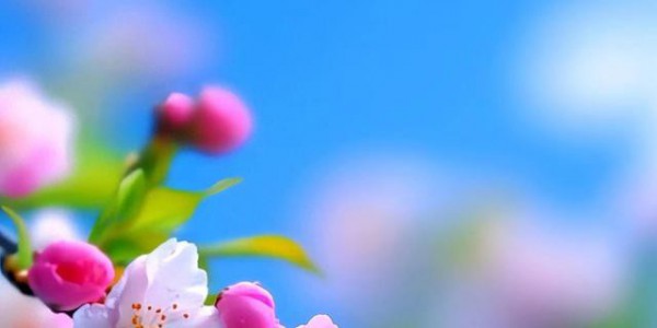 接住了！明天开启！孩子好运降临，父母千万别让机遇溜走！