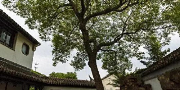 客流破12亿！江苏文旅凭啥卷羸浙江，安徽？
