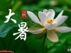 “大暑不忌嘴，大夫跑断腿”，今日大暑，不能吃啥？记得告诉家人