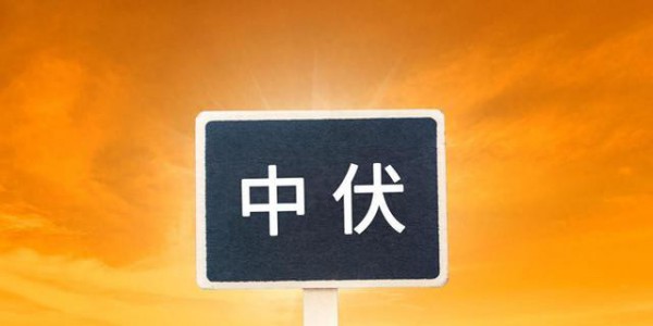 头伏饺子二伏面，5种面条做法收藏好，每天换着做，消暑解馋