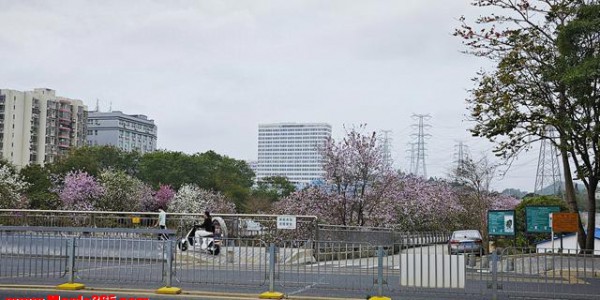 初二孩子每周五出去玩到很晚，我不反对，原因很简单