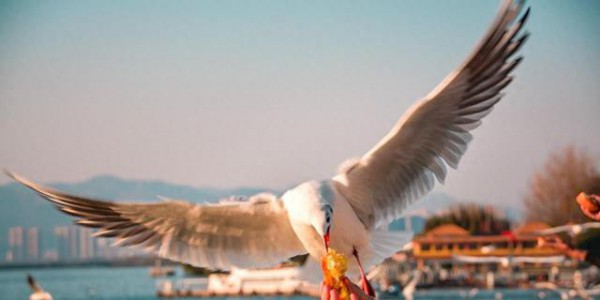 北京人去了昆明和贵阳，直言不讳：昆明和贵阳生活方式截然不同！