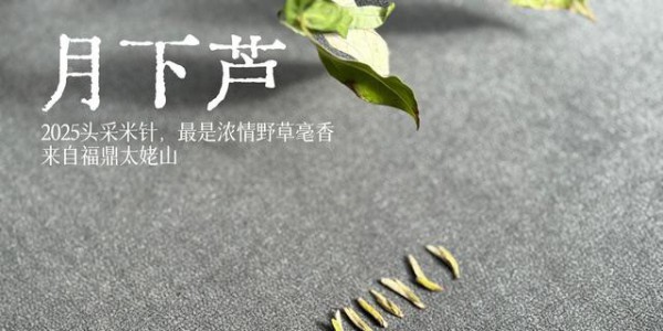 2025头采米针，浓浓芦荻毫香，诗经里的野草们有了现实的具象！