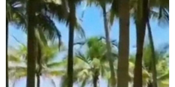 多地官宣中小学春假清明连休6天，旅游线路秒空！一半欢喜一半愁