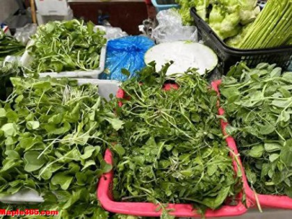 “春菜”陆续上市！医生提醒：这些菜长期大量食用，或有致癌风险