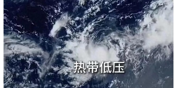 11号台风"杨柳"突袭！华南华东沿海拉响警报，这些城市遭狂风暴雨