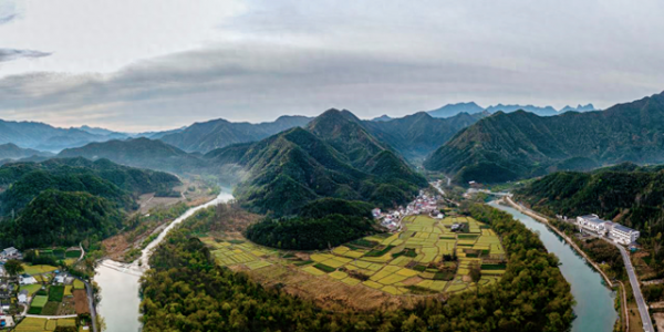皖南山野油菜花开爆了！全程没门票，位置在池州，适合清明两日游