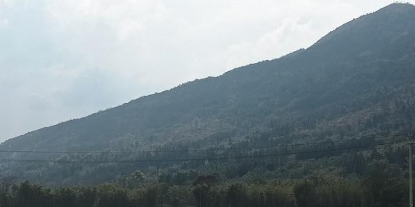 一个人的隐居生活：今天当向导，陪小猪游梅江村