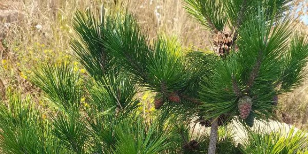 五年后，你家孩子，是全家族最让人羡慕的那一个