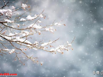 “上午立冬冻死牛，下午立冬暖烘烘”，今日立冬不一般，有啥说法