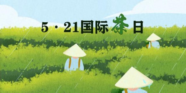 5・21 国际茶日｜南阳茶香盛宴启幕，共泡和合茶，同传公益香