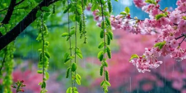 孩子哄着哄着就变优秀了，这些话一定要经常说