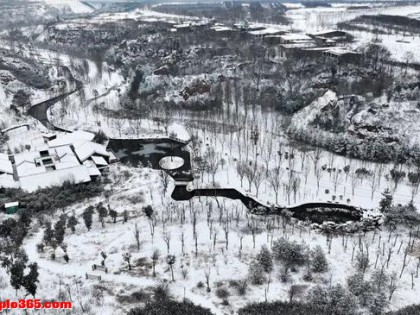 孟津雪后银装素裹 宛如水墨画卷