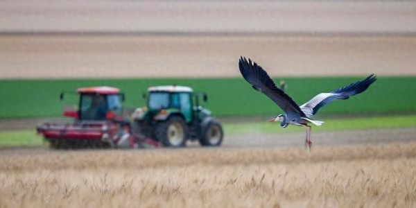 你如何看家长在公共场合打骂孩子