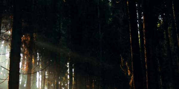 成都2h的新徒步路线，野趣十足、新手友好，免门票免停车费快冲！