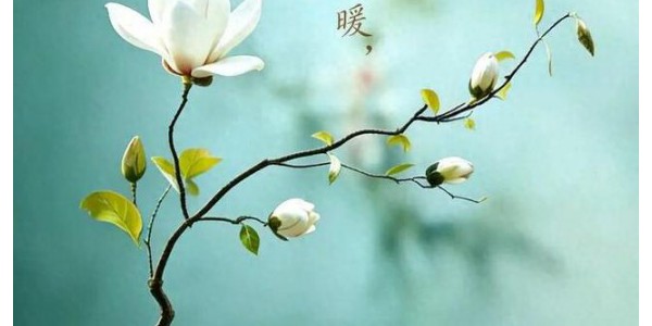 爱阅读的孩子，后劲真的太足了