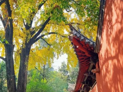 高铁直达！适合一个人去小住三五天的6个安逸小城，挑一个去走走