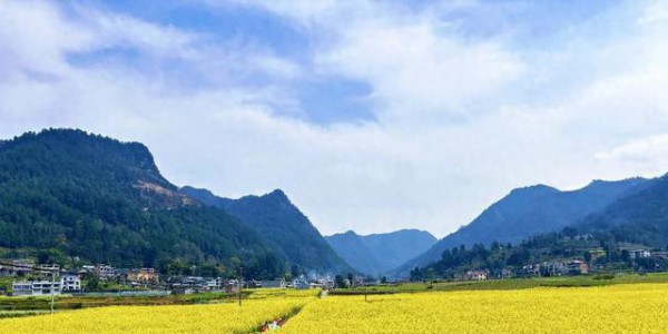 “我在开花，她们在笑” 这就是习水最棒的春天