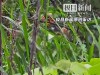 四川28岁男子身亡，被自己活活勒死，是家里顶梁柱，遇难过程曝光