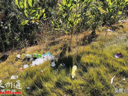 “紫帽山福道完工开放”追踪丨福道好风光 ，垃圾坏兴致！部门呼吁……
